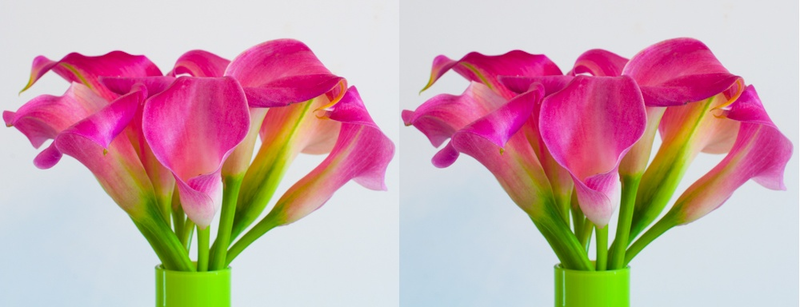 Illustration for article titled Shooting Challenge Stereogram Gallery 1